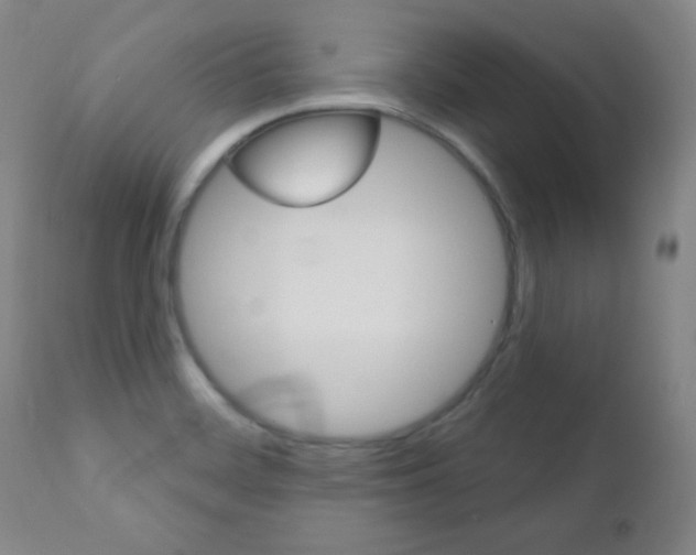 X0000110941468200906191039