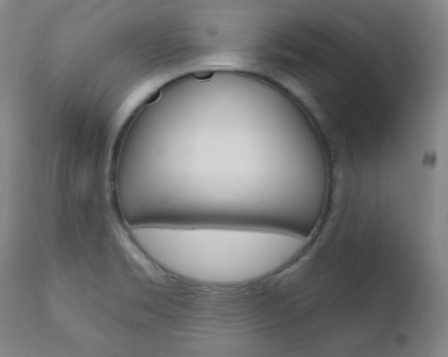 X0000110941469200906191039