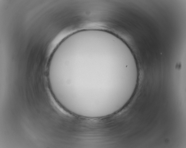 X0000110941470200906191039