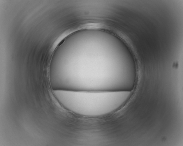 X0000110941473200906191039