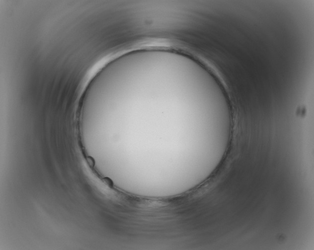 X0000110941475200906191039