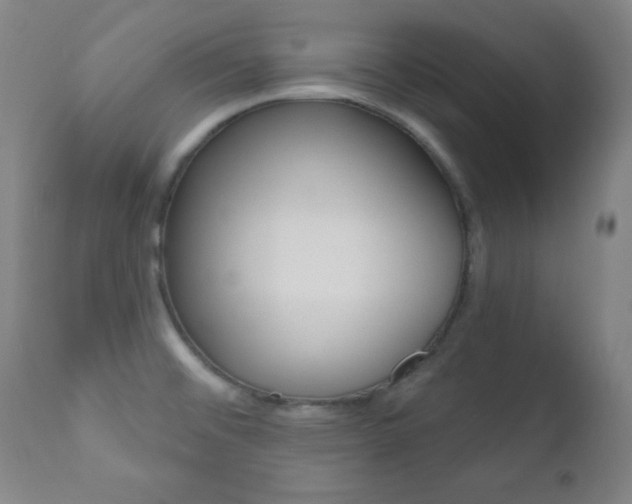 X0000110941476200906191039