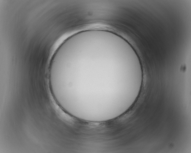 X0000110941478200906191038