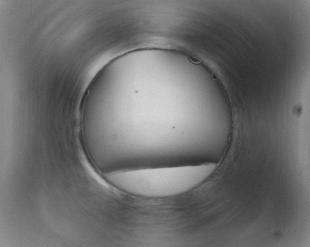 X0000110941479200906191038