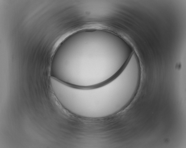 X0000110941481200906191038