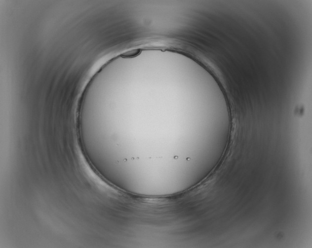 X0000110941483200906191038