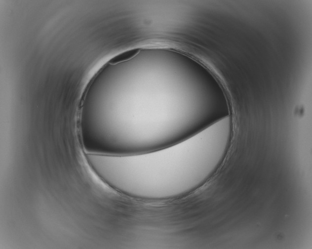 X0000110941484200906191038