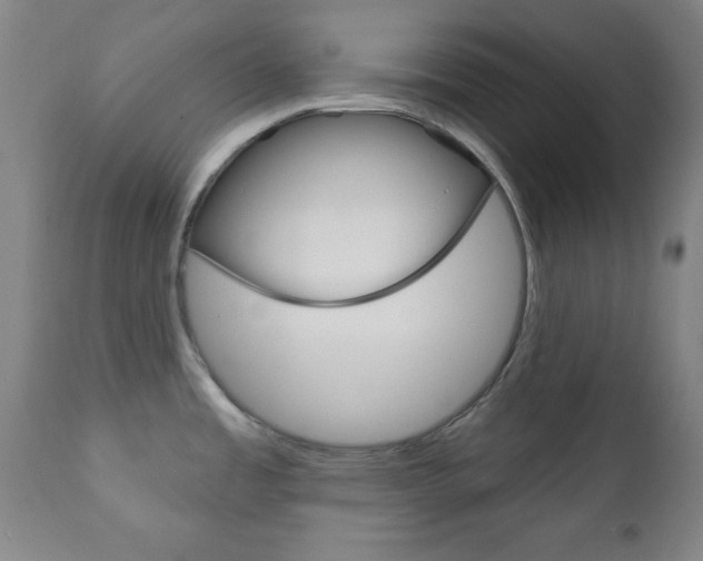 X0000110941485200906191038