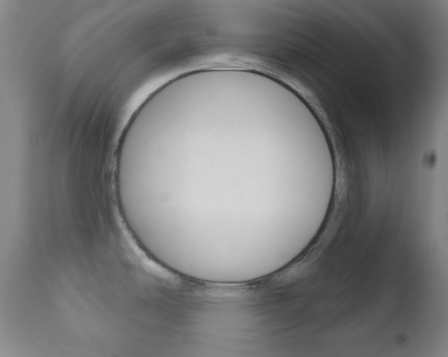 X0000110941486200906191038