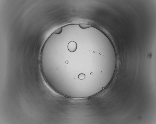 X0000110941487200906191038