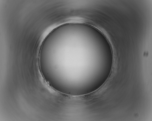 X0000110941488200906191038
