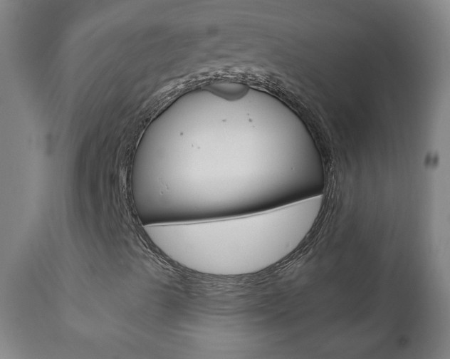X0000110941489200906191038
