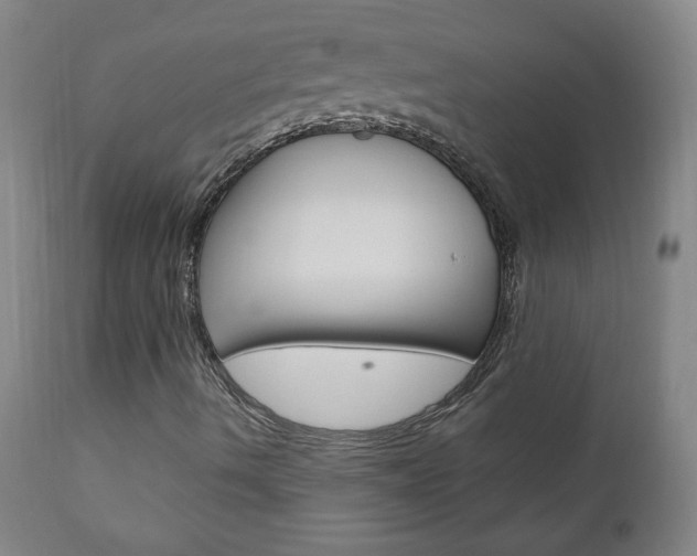 X0000110941490200906191038