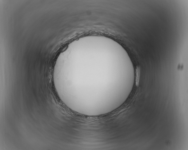 X0000110941491200906191038