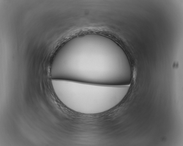 X0000110941492200906191038