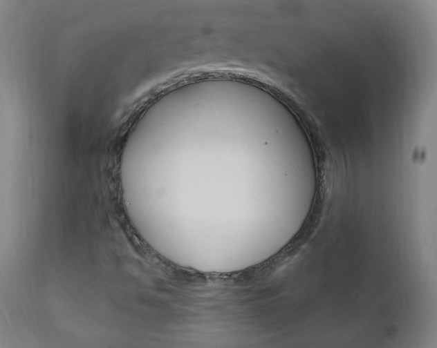 X0000110941494200906191038