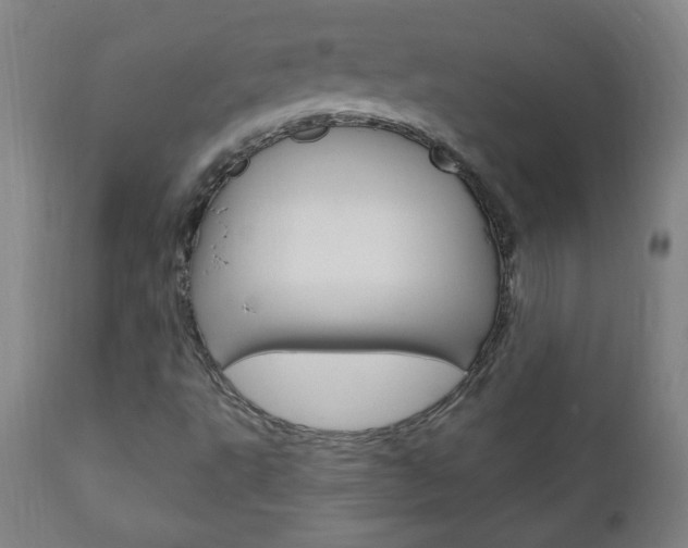 X0000110941495200906191038