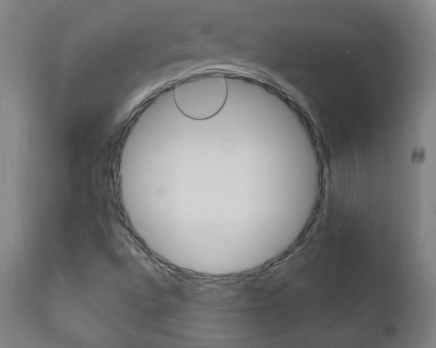 X0000110941496200906191038