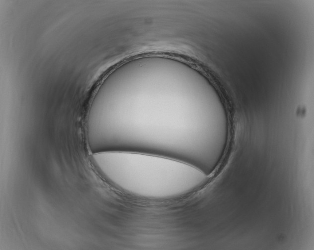 X0000110941497200906191038