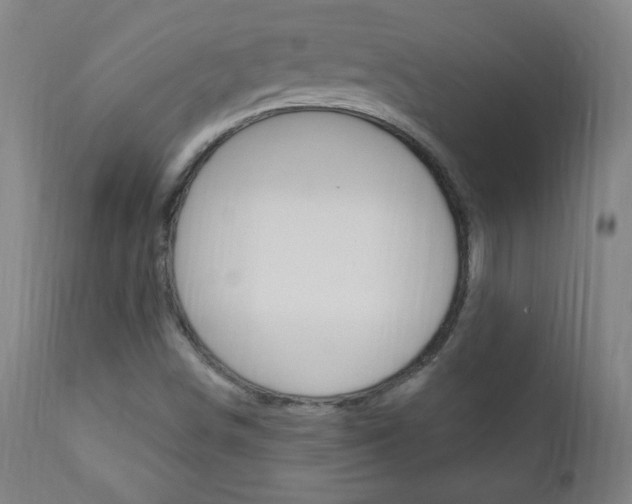 X0000110941498200906191038