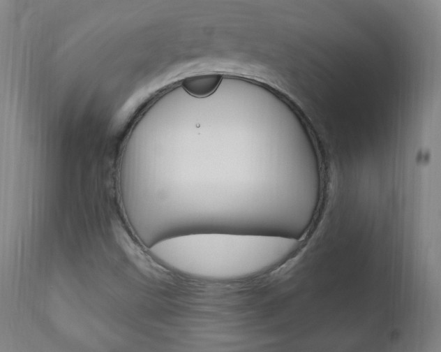 X0000110941499200906191038