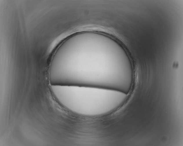 X0000110941501200906191038