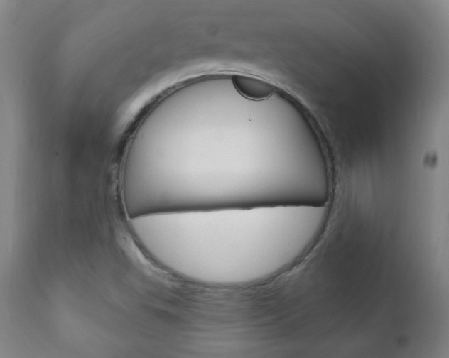 X0000110941503200906191038