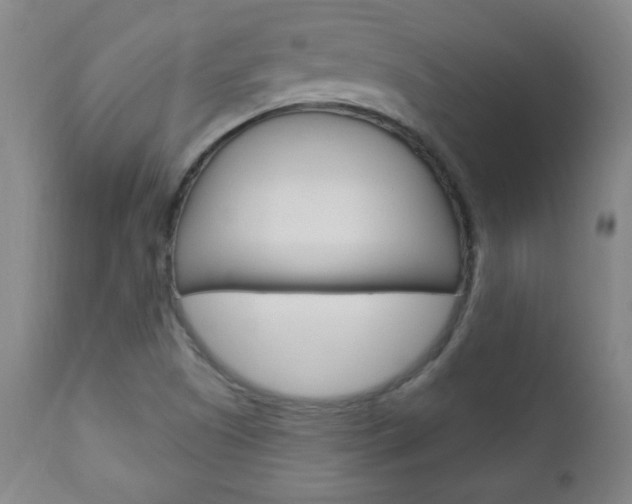 X0000110941505200906191038