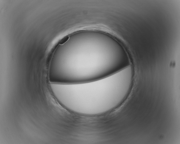 X0000110941506200906191038