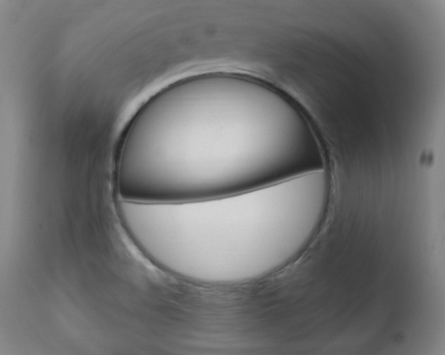X0000110941508200906191038