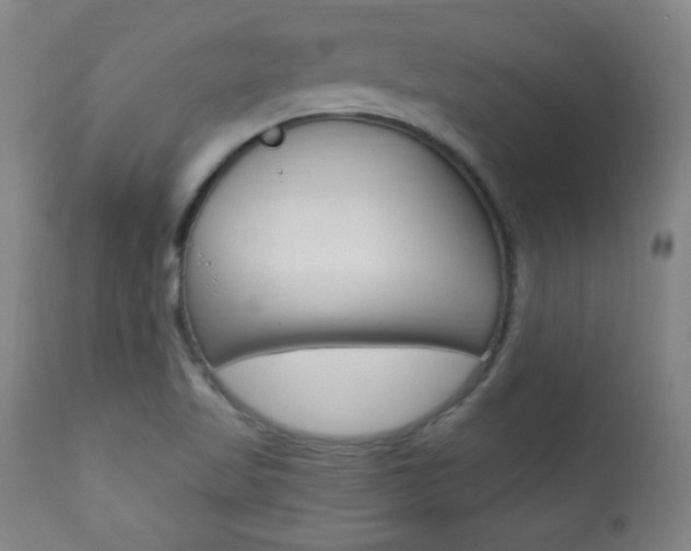 X0000110941509200906191038