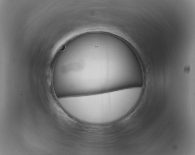 X0000110941510200906191038