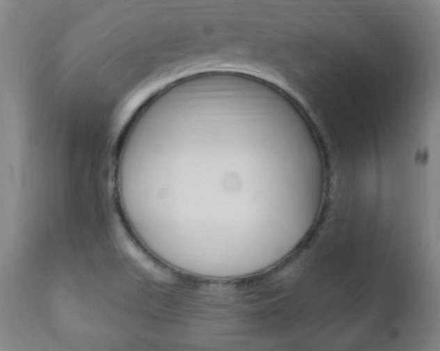 X0000110941511200906191038