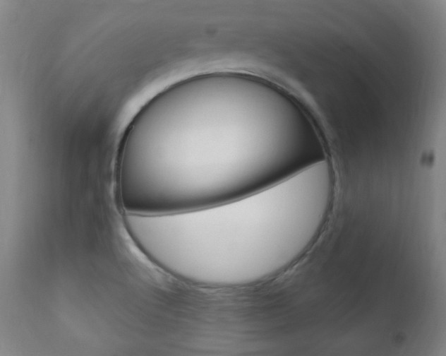 X0000110941512200906191038