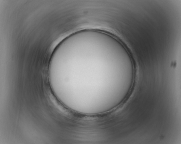 X0000110941513200906191038