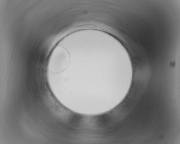 X0000110941514200906191038