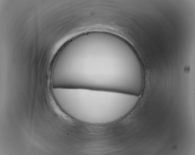 X0000110941515200906191038
