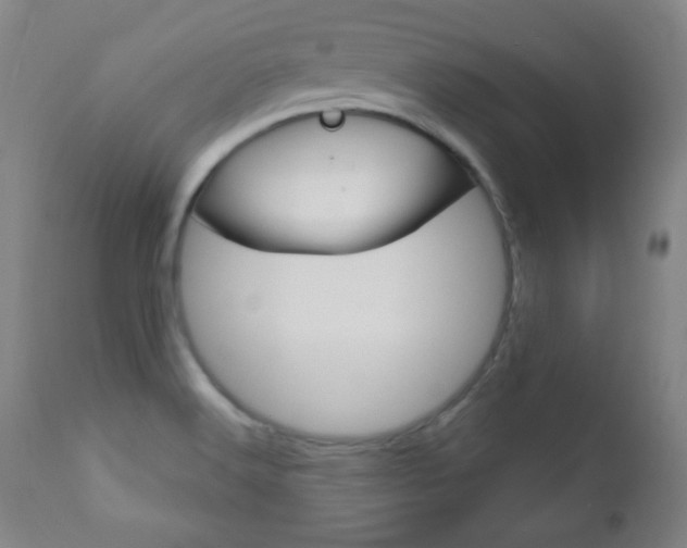 X0000110941516200906191038