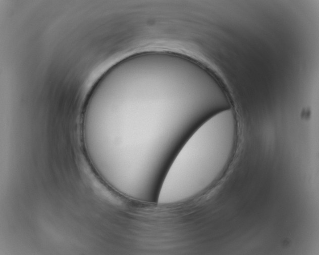 X0000110941517200906191038