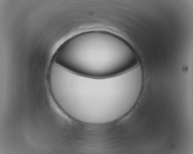 X0000110941518200906191038