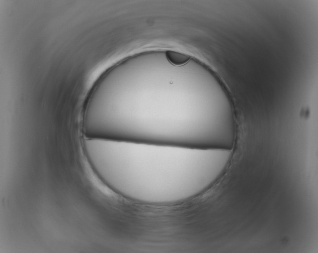 X0000110941519200906191038