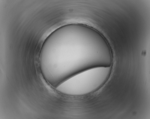 X0000110941521200906191038