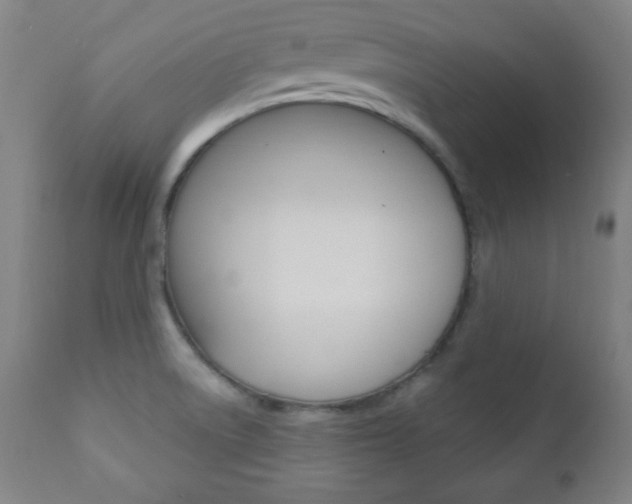 X0000110941522200906191038