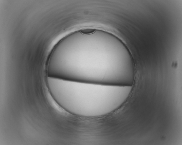 X0000110941523200906191038