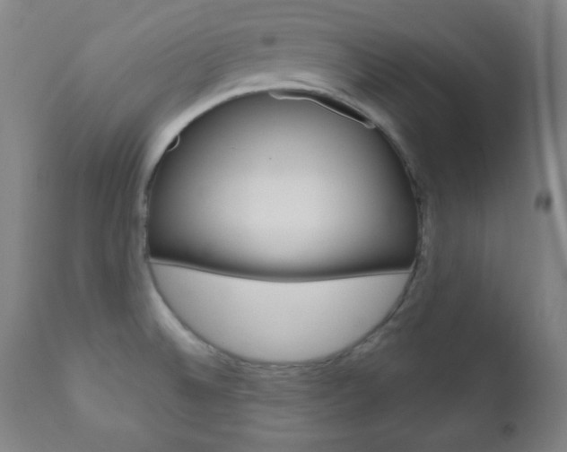 X0000110941524200906191038