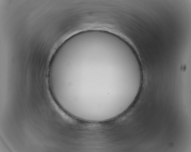 X0000110941525200906191038