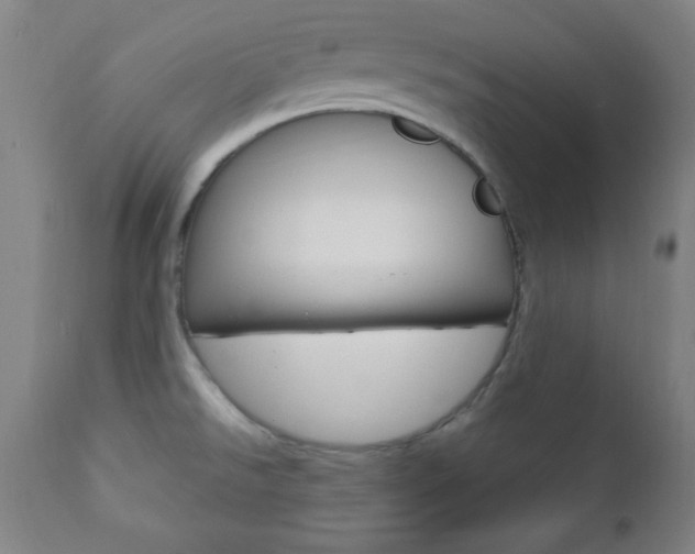 X0000110941526200906191038