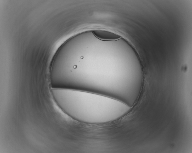 X0000110941527200906191038