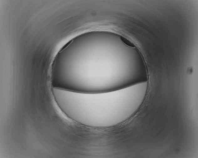 X0000110941528200906191038