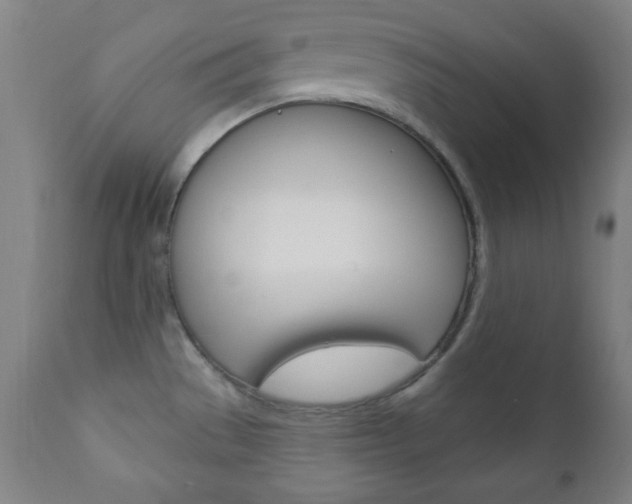 X0000110941529200906191038
